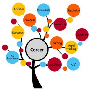 Equine Careers - get that equine job application accepted!