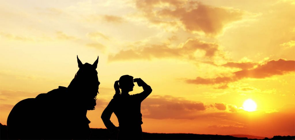 Job Longevity and Employment in the Equine Industry - The Grooms List
