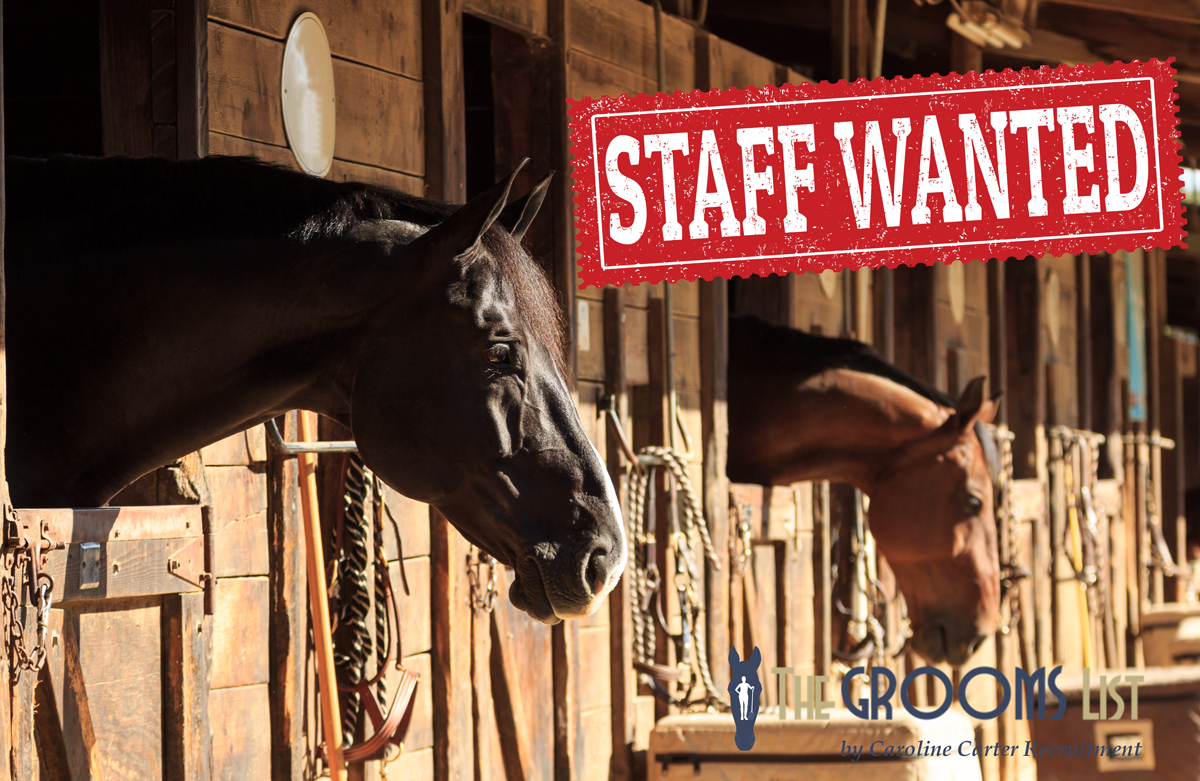 Equine job vacancies warwickshire
