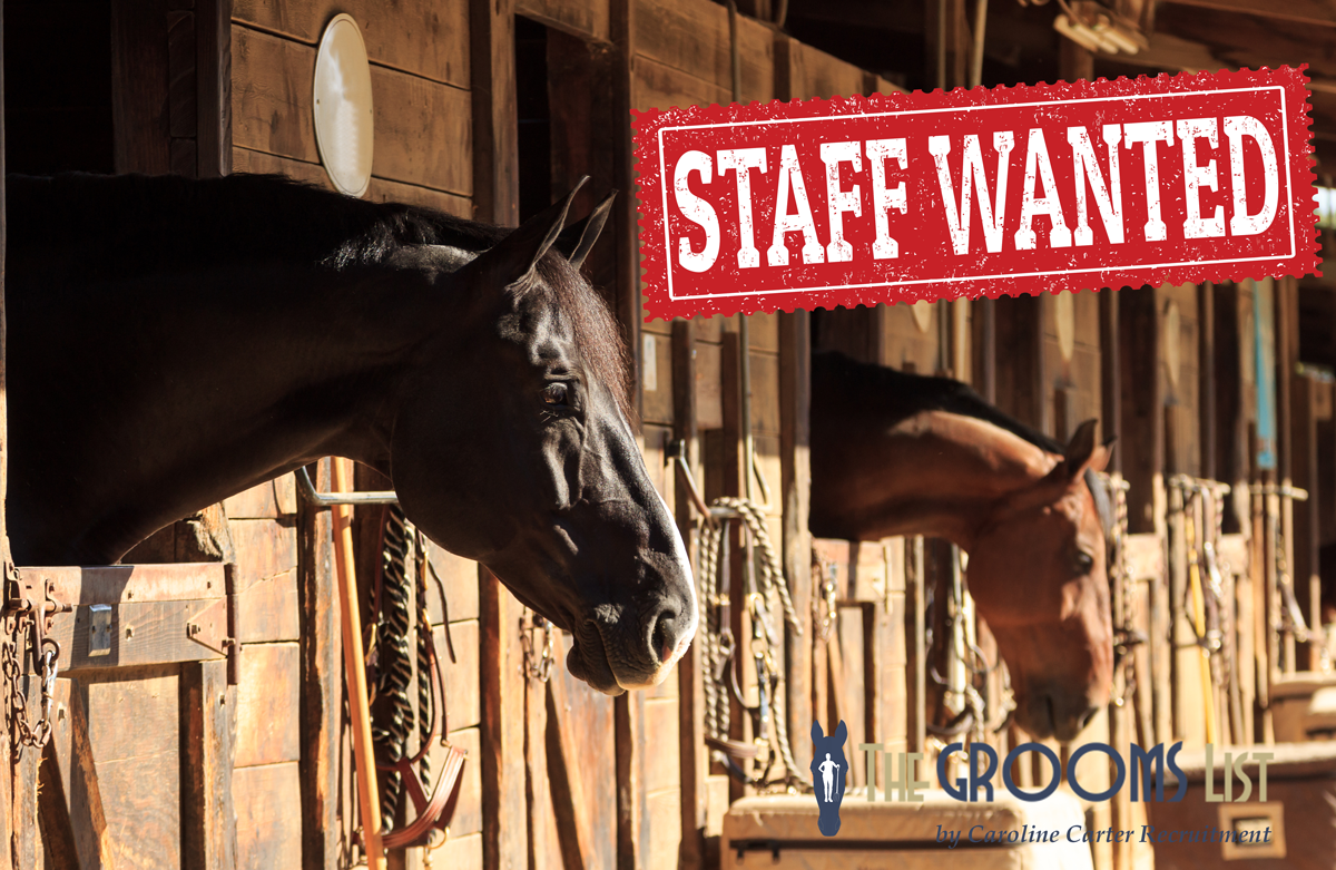 Advertise Horse Jobs Online | Caroline Carter Recruitment Ltd