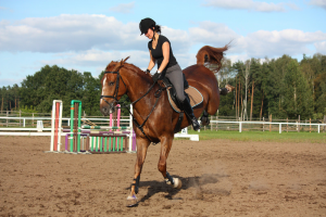 Don't be a dummy jockey at your equine job interview - Caroline Carter Recruitment Ltd
