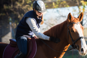 Equine Careers - how to impress your potential employer at an equine job interview - Caroline Carter Recruitment
