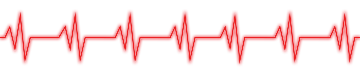 horse's vital signs