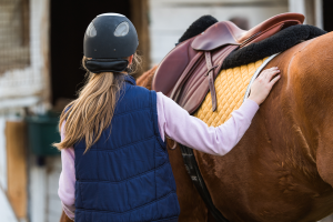 Take safety equipment to your equine job interview - Caroline Carter Recruitment Ltd