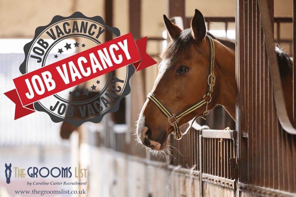 Advertise-an-equine-job-vacancy-The-Grooms-List-by-Caroline-Carter-Recruitment-Ltd