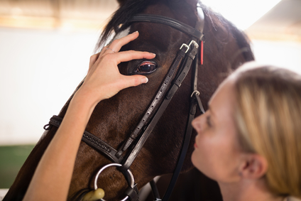 First Aid at Horse Shows