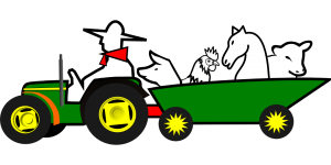 Driving a Horsebox - Get an HGV Licence