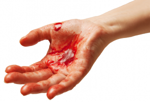 The Grooms List - Get A First Aid Certificate - Caroline Carter Recruitment.png