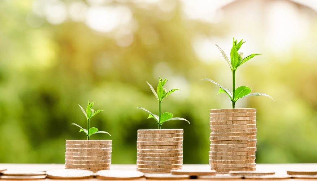Several times, every day I am involved in discussions with grooms and employers about salaries. One of the most commonly asked question by grooms in what is considered a poorly paid profession is, “what can I do to get the top end of the salary ranges advertised in your jobs?”. There are some basics you can achieve fairly easily, and any investment in your career will undoubtedly pay back dividends, but you don't want to make moves and spend money on qualifications and licences willy-nilly. Through a series of articles over the next few months, we will tell you how you could get some serious extra money in your pay packet each month. Bookmark this page to easily access the entire collection of articles as it grows...