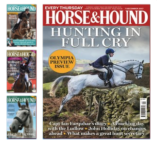 Christmas gift ideas for horse lovers - Horse and Hound Subscription