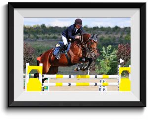 Christmas gift ideas for horse lovers - Personalised Picture