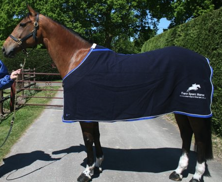 Christmas gift ideas for horse lovers - Personalised Show Rug