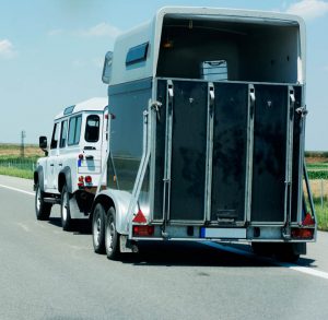 Christmas Stocking Fillers for Horse Lovers - Vouchers for HGV or Trailer Driver Training
