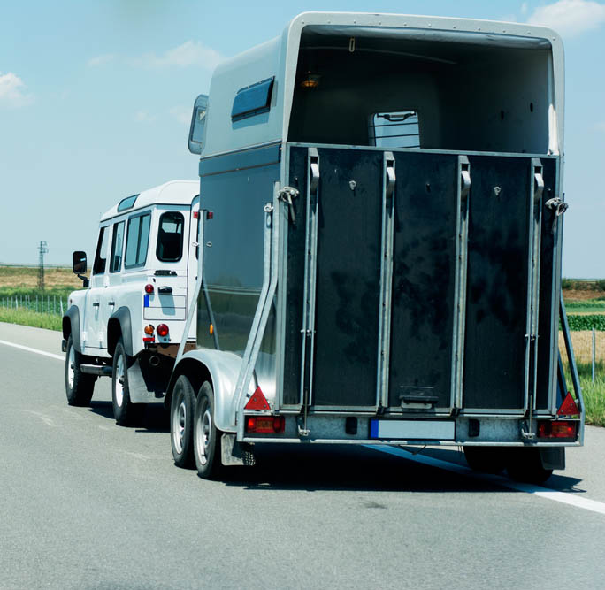 Christmas gift ideas for horse lovers - Vouchers for HGV or Trailer Driver Training