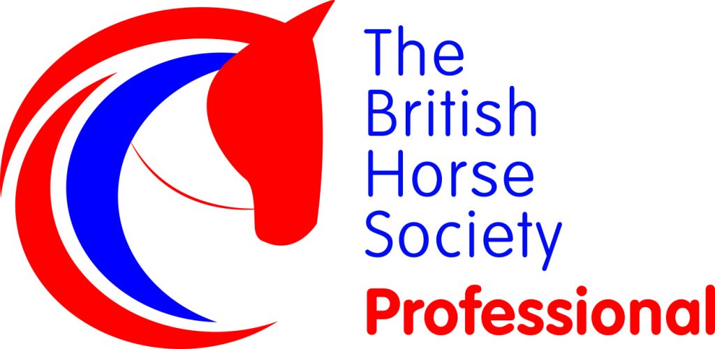 BHS Qualifications - British Horse Society Career Pathways