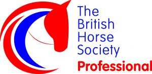 Equine Careers - British Horse Society Career Pathways
