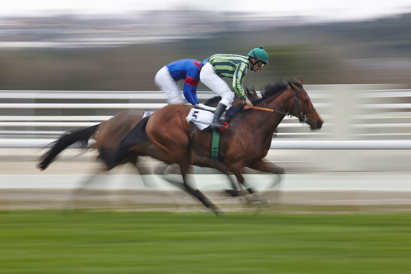 Equine Disciplines - Racing