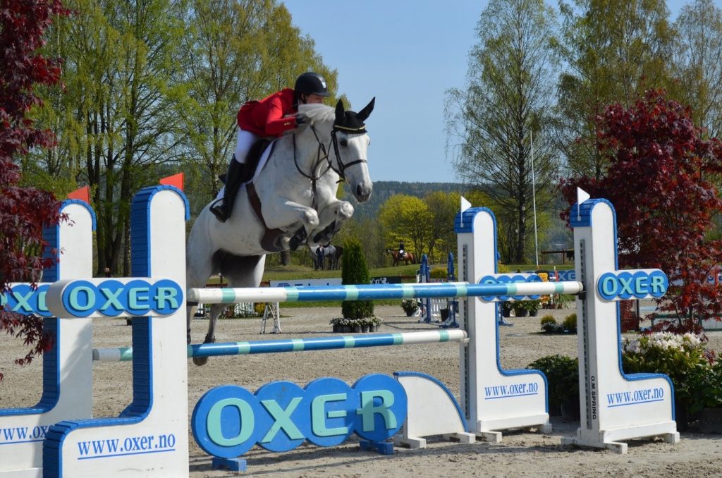 Equine Disciplines - Show Jumping