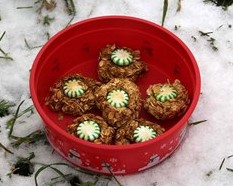 Cookies for the Horses at Christmas