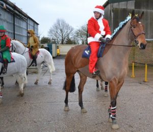 Tips for Grooms Working with Horses at Christmas - ideas of things to do