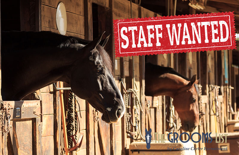 Find Equine Grooms and Riders - The Grooms List by Caroline Carter Recruitment