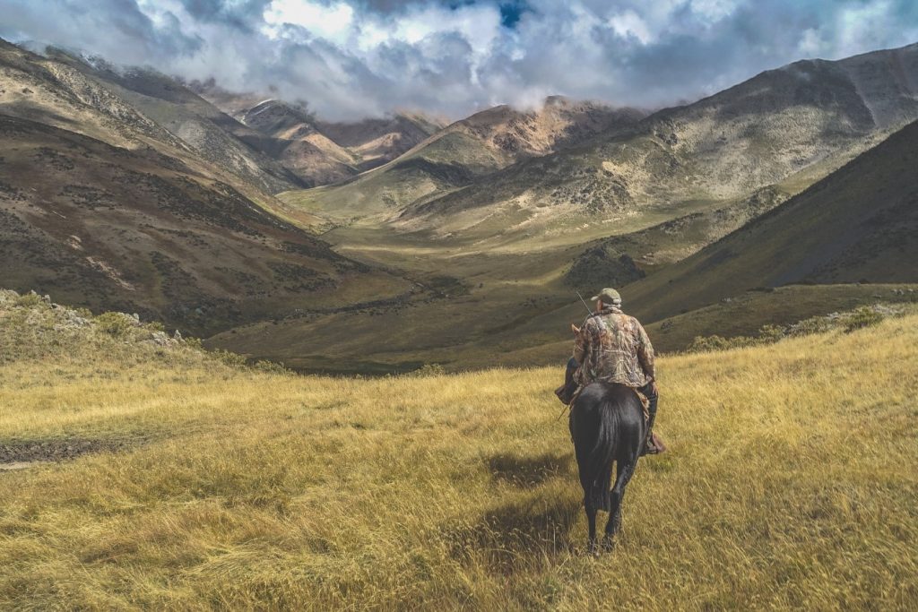How to FAIL at your equine job hunt! - disappear off the face of the earth