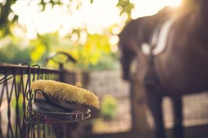 Subscriptions to The Grooms List - Equine Recruitment Services