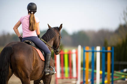 Equine Apprenticeships - Invaluable Education or Slave Labour - Building your equine career