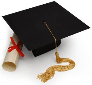 Equine Apprenticeships - Invaluable Education or Slave Labour - Diplomas and other qualifications
