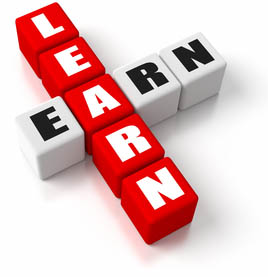 Equine Apprenticeships - Invaluable Education or Slave Labour - Earn while you learn