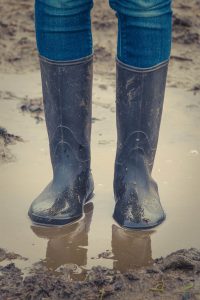 Freelance Grooms and Freelance Groom Jobs - Lots of clean clothes