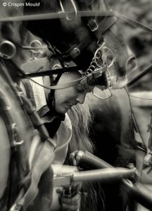 Competition Grooms - what skill must you have