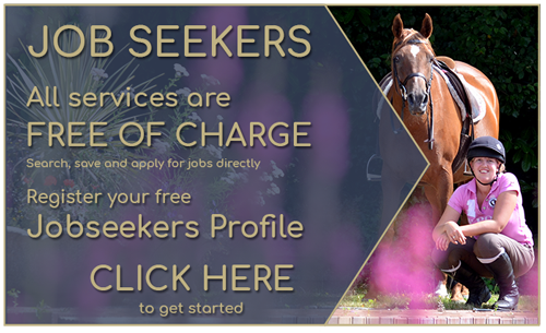 Equine Careers | Equine Grooms | Equine Jobs | Equestrian Jobseekers