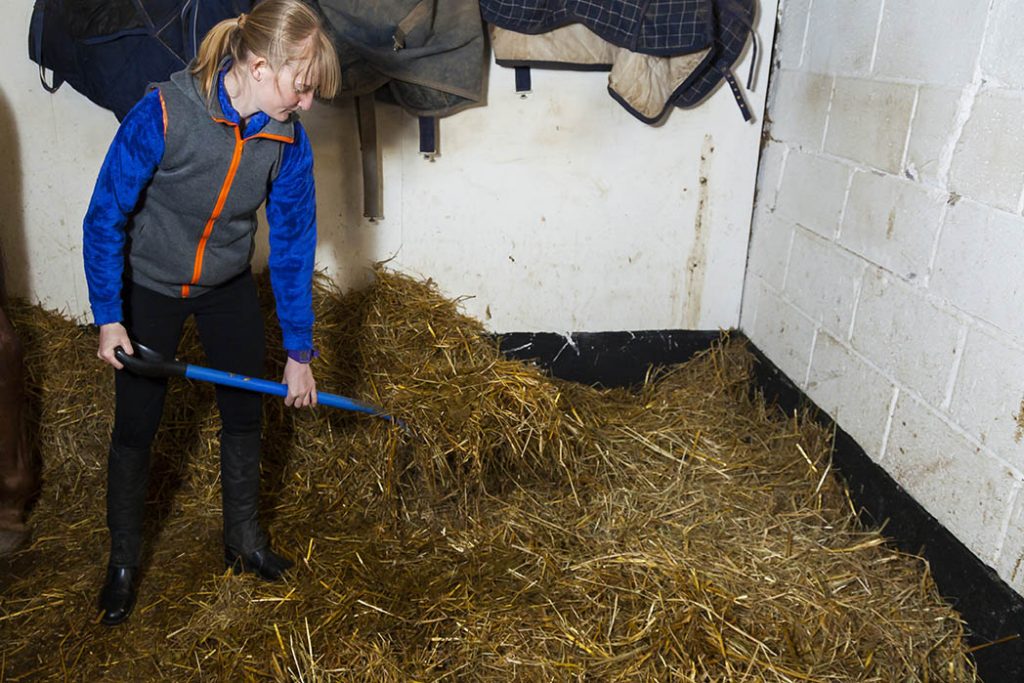 How to recruit an everyday Super Groom in 2018 - recruiting a good groom