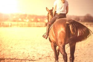 Spring Forward in the Equine Industry - Riding in the Evenings