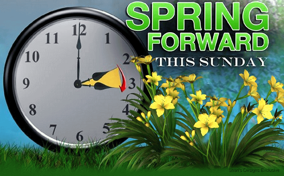 Spring Forward in the Equine Industry - Time to change the clocks.