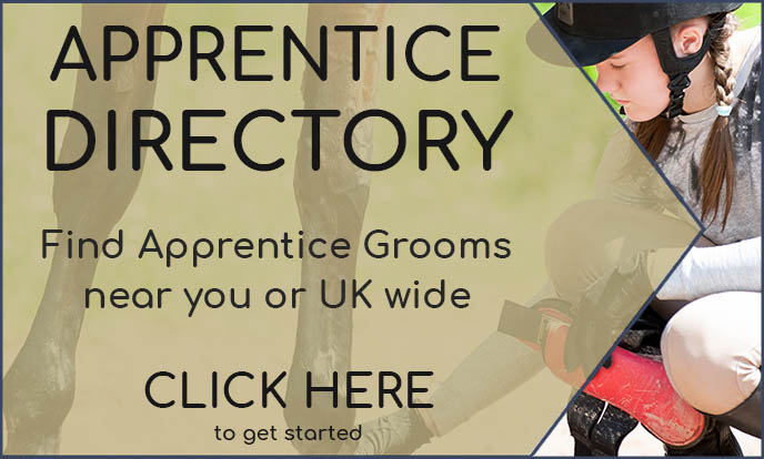 Apprentice Grooms Directory Apprentice Grooms Directory