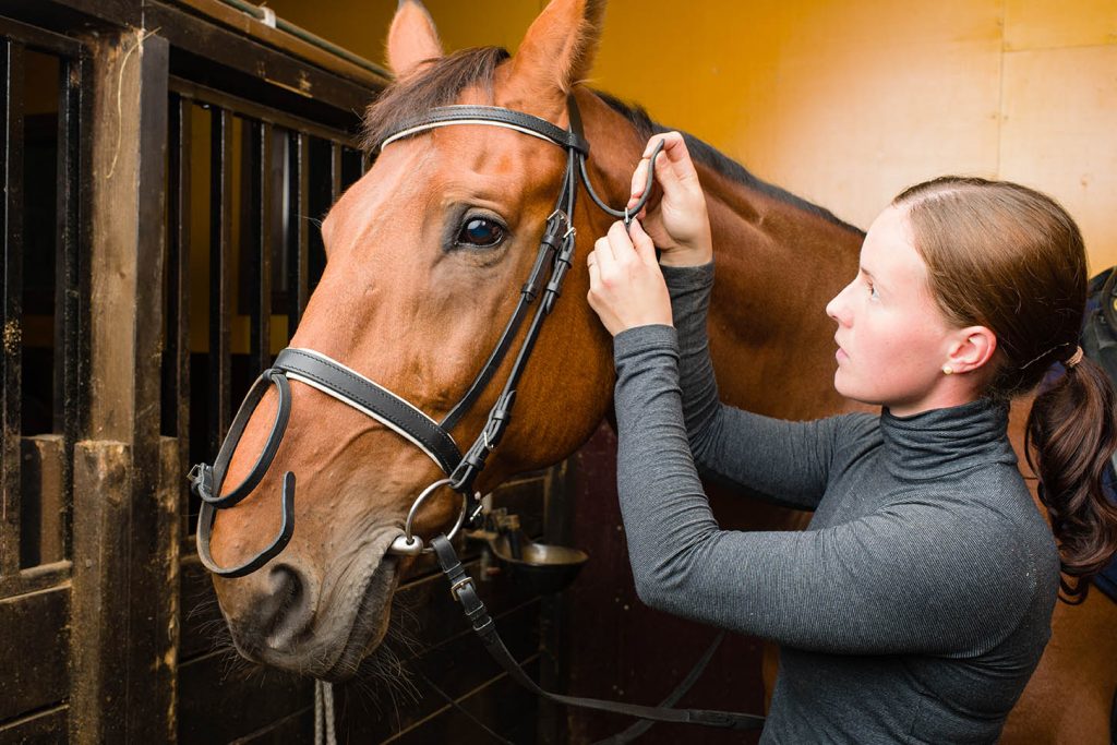 Become a professional groom in 6 Simple Steps