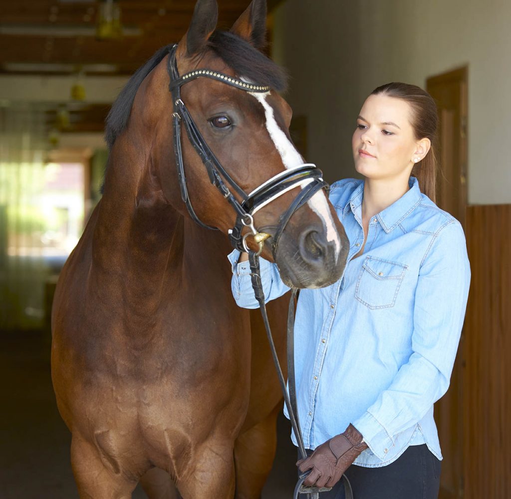 Become a professional groom in 6 Simple Steps - Be honest about your skills and experience