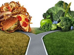Feeding YOURSELF for performance - healthy eating for equine grooms - choose your food wisely