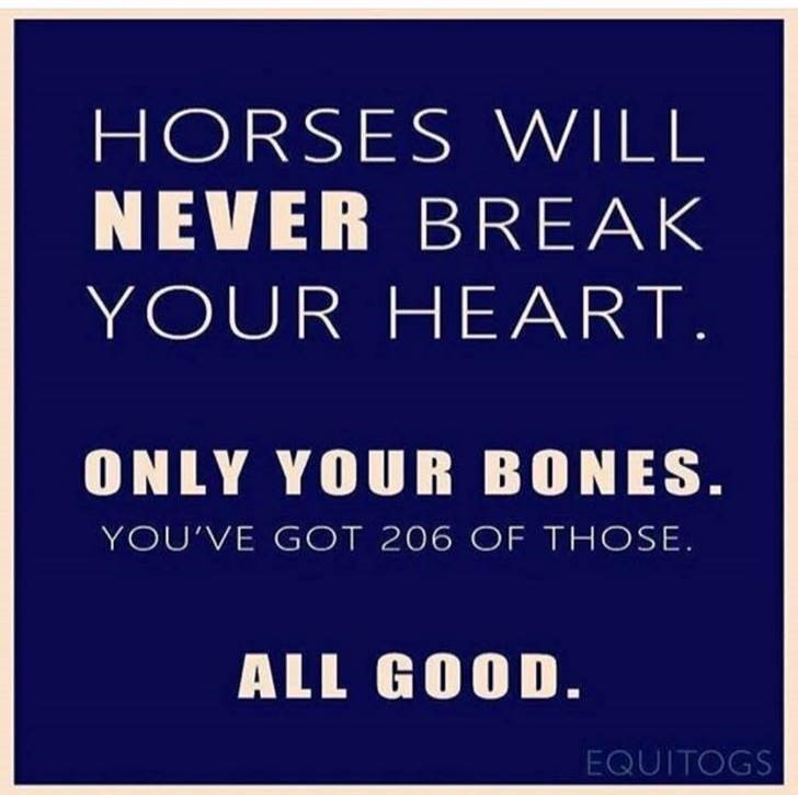 Maintaining health and fitness when working with horses - staying out of A and E
