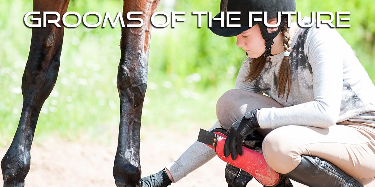Employing an Apprentice Groom - Grooms of the Future
