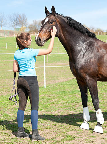 Employing an Apprentice Groom - the Grooms of the Future - Building an equine career