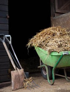 Looking for Work with Horses - Getting Started - Sell yourself