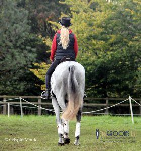 The Ultimate Guide to Badminton Horse Trials - Competition Grooms