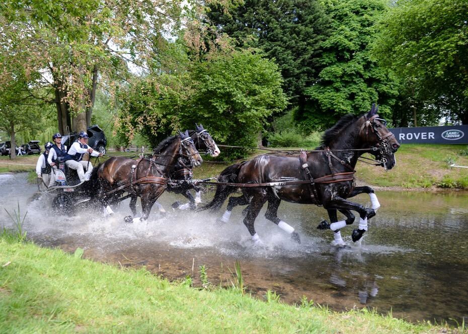 The ultimate guide to the Royal Windsor Horse Show - Driving