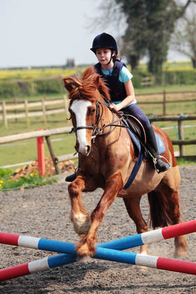 Become a horse riding instructor - parents