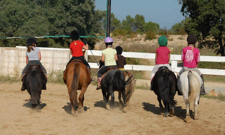 Become a horse riding instructor - ponies