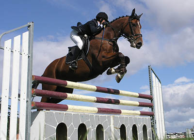 Become a horse riding instructor - the voice we hear when we ride