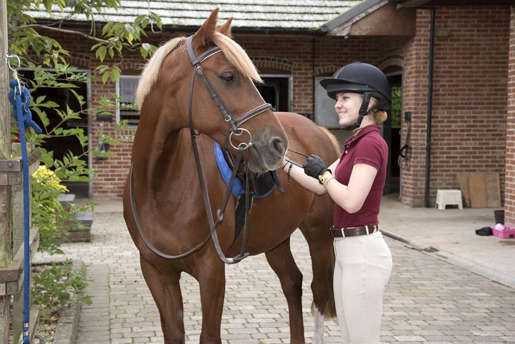 Equine Apprenticeships - Course Options - Grooms of the Future Part 2